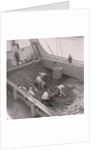 Coal boat for Coal Board by Manx Press Pictures