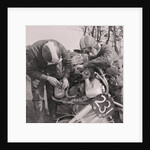 Two day motorcycle trial by Manx Press Pictures