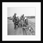 Ploughing match at Bride, Ballanhard by Manx Press Pictures