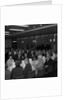 TE Brown Night, Castle Mona, Douglas by Manx Press Pictures