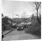 Tree down in storm, Bray Hill, Douglas by Manx Press Pictures
