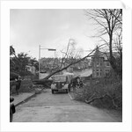 Tree down in storm, Bray Hill, Douglas by Manx Press Pictures