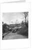 Tree down in storm, Bray Hill, Douglas by Manx Press Pictures