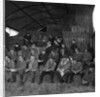 Oatlands Farm shorthorn demonstration, Isle of Man by Manx Press Pictures