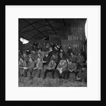 Oatlands Farm shorthorn demonstration, Isle of Man by Manx Press Pictures