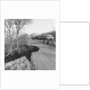 Road collapse on TT Course at Handley's by Manx Press Pictures