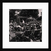 Villa Marina Gardens by Manx Press Pictures