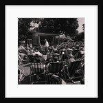 Villa Marina Gardens by Manx Press Pictures