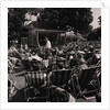 Villa Marina Gardens by Manx Press Pictures
