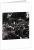 Villa Marina Gardens by Manx Press Pictures