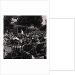 Villa Marina Gardens by Manx Press Pictures