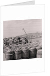 Herring being salted for export by Manx Press Pictures