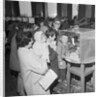 Fur and feather Show, Villiers, Douglas by Manx Press Pictures