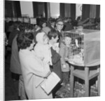 Fur and feather Show, Villiers, Douglas by Manx Press Pictures