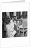 Fur and feather Show, Villiers, Douglas by Manx Press Pictures