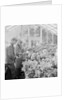 Corporation Nurseries, Ballaughton by Manx Press Pictures