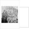 Corporation Nurseries, Ballaughton by Manx Press Pictures