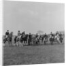 Horse of the Year Show, Isle of Man by Manx Press Pictures
