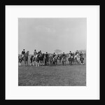 Horse of the Year Show, Isle of Man by Manx Press Pictures