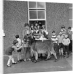 Donkey with children, Isle of Man by Manx Press Pictures