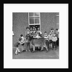 Donkey with children, Isle of Man by Manx Press Pictures