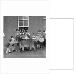 Donkey with children, Isle of Man by Manx Press Pictures