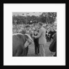 Royal Manx Show by Manx Press Pictures