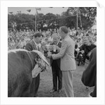 Royal Manx Show by Manx Press Pictures