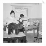 Blacks pet parlour by Manx Press Pictures