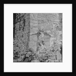 Fashion at Castle Rushen by Manx Press Pictures