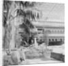 Summerland by Manx Press Pictures