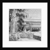 Summerland by Manx Press Pictures