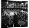 Double Diamond at Summerland by Manx Press Pictures