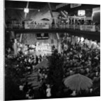 Double Diamond at Summerland by Manx Press Pictures