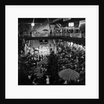 Double Diamond at Summerland by Manx Press Pictures