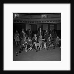 Dog Show, Villa Marina, Douglas by Manx Press Pictures