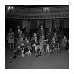 Dog Show, Villa Marina, Douglas by Manx Press Pictures