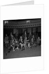 Dog Show, Villa Marina, Douglas by Manx Press Pictures