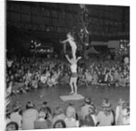 Rothmans Olympic Appeal Show Show at Summerland by Manx Press Pictures