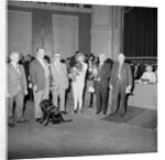 Dog Show, Villa Marina, Douglas by Manx Press Pictures