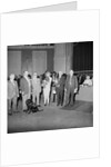 Dog Show, Villa Marina, Douglas by Manx Press Pictures
