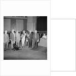 Dog Show, Villa Marina, Douglas by Manx Press Pictures
