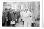 Beef at abattoir, Isle of Man by Manx Press Pictures