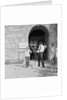 Visitor to Castle Rushen by Manx Press Pictures