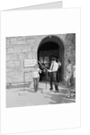 Visitor to Castle Rushen by Manx Press Pictures