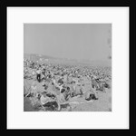 Holidaymakers on Douglas beach by Manx Press Pictures