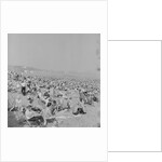 Holidaymakers on Douglas beach by Manx Press Pictures