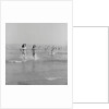 Holidaymakers in the sea at Douglas by Manx Press Pictures