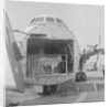 Loading cattle at Ronaldsway Airport by Manx Press Pictures