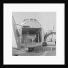 Loading cattle at Ronaldsway Airport by Manx Press Pictures